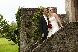 Photo albulle/datas/photos/01_book_mariages_divers/02_portraits/IMG_3990.jpg