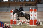 Photo albulle/datas/photos/00_saison_2014/03_avenches_poneys_18_avril_2014/01_ep1_p60/IMG_2618.JPG