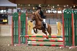 Photo albulle/datas/photos/00_saison_2014/03_avenches_poneys_18_avril_2014/01_ep1_p60/IMG_2625.JPG