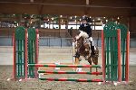 Photo albulle/datas/photos/00_saison_2014/03_avenches_poneys_18_avril_2014/01_ep1_p60/IMG_2632.JPG