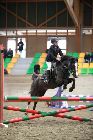 Photo albulle/datas/photos/00_saison_2014/03_avenches_poneys_18_avril_2014/02_ep2_p70/IMG_2769.JPG