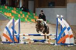 Photo albulle/datas/photos/00_saison_2014/03_avenches_poneys_18_avril_2014/02_ep2_p70/IMG_2780.JPG