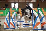 Photo albulle/datas/photos/00_saison_2014/03_avenches_poneys_18_avril_2014/04_ep4_p90/IMG_3138.JPG