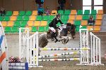 Photo albulle/datas/photos/00_saison_2014/03_avenches_poneys_18_avril_2014/04_ep4_p90/IMG_3139.JPG