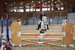 Photo albulle/datas/photos/00_saison_2014/03_avenches_poneys_18_avril_2014/04_ep4_p90/IMG_3146.JPG