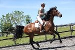 Photo albulle/datas/photos/00000_saison_2017/08_puidoux_11_juin_2017/ep3_b90/IMG_5474.JPG