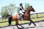 Photo albulle/datas/photos/00000_saison_2017/08_puidoux_11_juin_2017/ep3_b90/IMG_5483.JPG