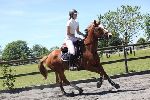 Photo albulle/datas/photos/00000_saison_2017/08_puidoux_11_juin_2017/ep3_b90/IMG_5487.JPG